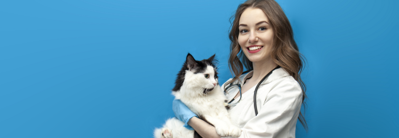 American Pet Hospital