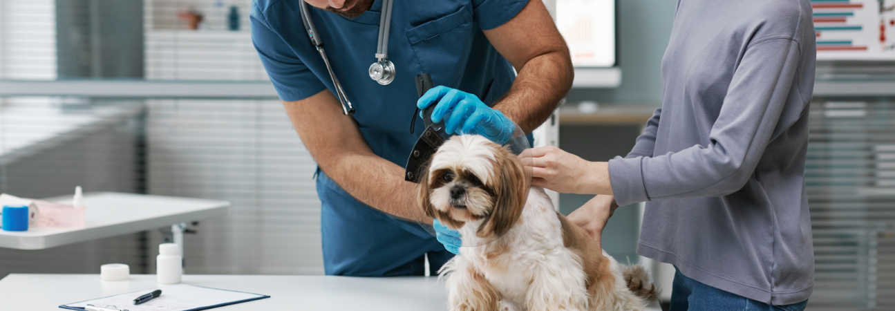 American Pet Hospital