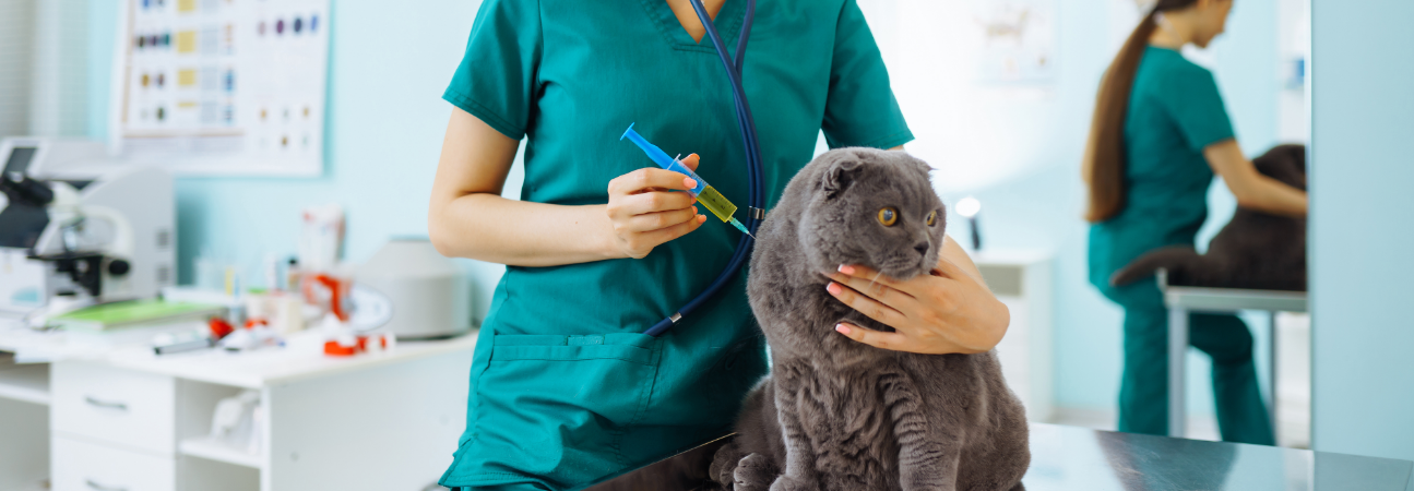 American Pet Hospital